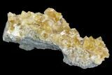 Lustrous, Yellow Calcite Crystal Cluster - Fluorescent! #128933-1